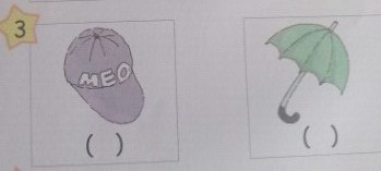 第二学期小学二年级英语期末水平测试卷