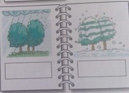 第二学期小学二年级英语期末水平测试卷