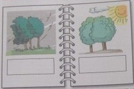 第二学期小学二年级英语期末水平测试卷