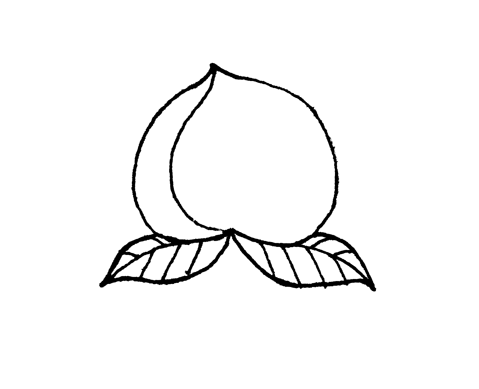 二年级上册数学期末总复习题全册