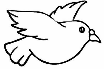 部编版第13课寒号鸟练习题及答案